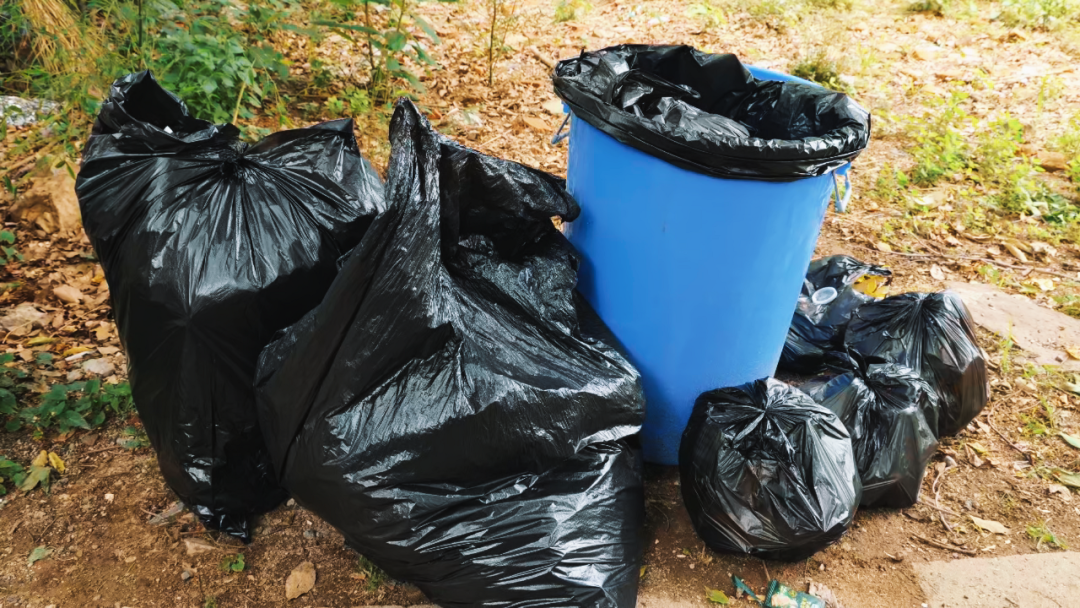 世界环境日 | 江苏壹号娱乐开展2025公益净山活动 世界环境日 | 江苏壹号娱乐开展2025公益净山活动