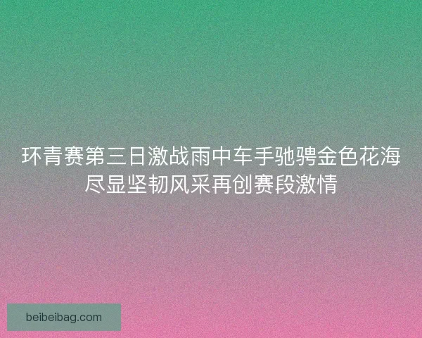 环青赛第三日激战雨中车手驰骋金色花海尽显坚韧风采再创赛段激情